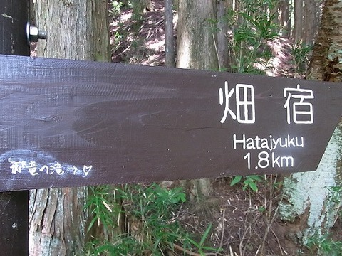 やじうま取材 008.jpg