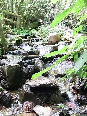 やじうま取材 009.jpg
