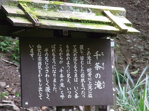 やじうま取材 023.jpg