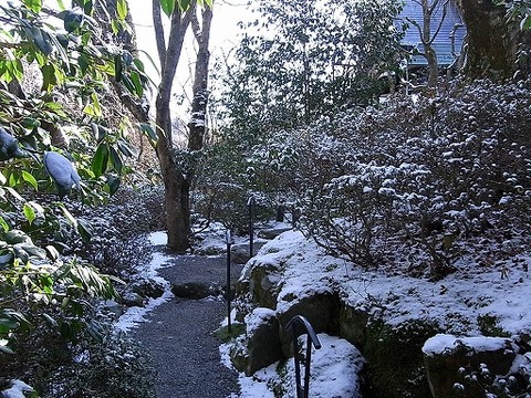 hakone~nagomi 005.jpg